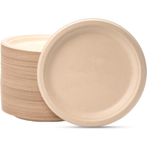 Biodegradable Compostable Natural bagasse Made of Food Dinnerware
