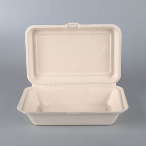 Compostable Takeaway Clamshell Box Biodegradable Food Container